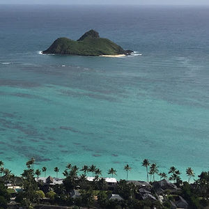 Meet your Posher, Remington